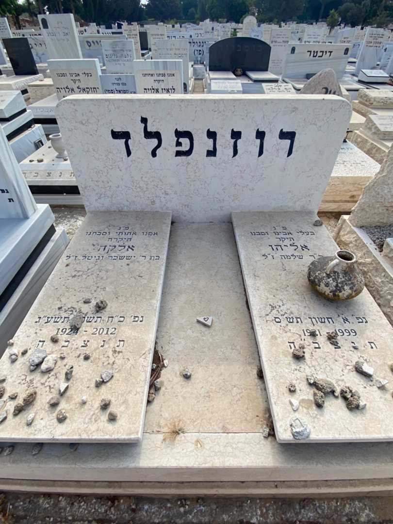 קברו של אליהו רוזנפלד. תמונה 1