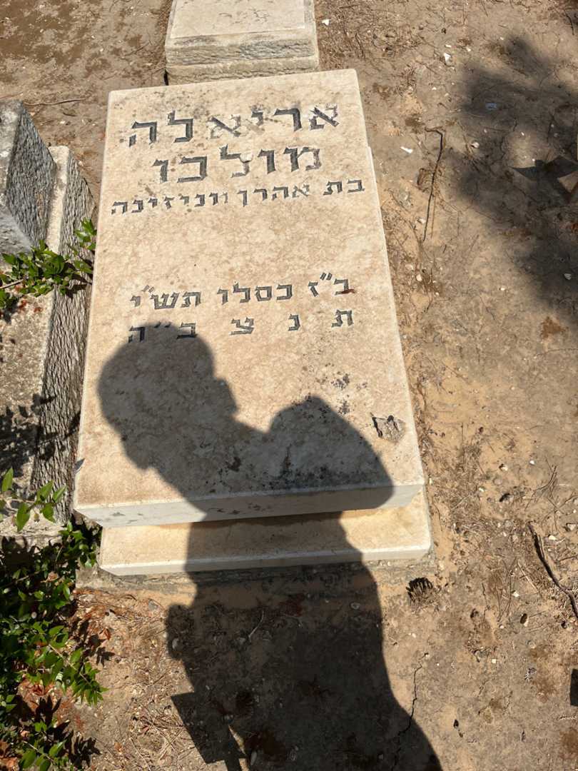 קברו של אריאלה מולכו