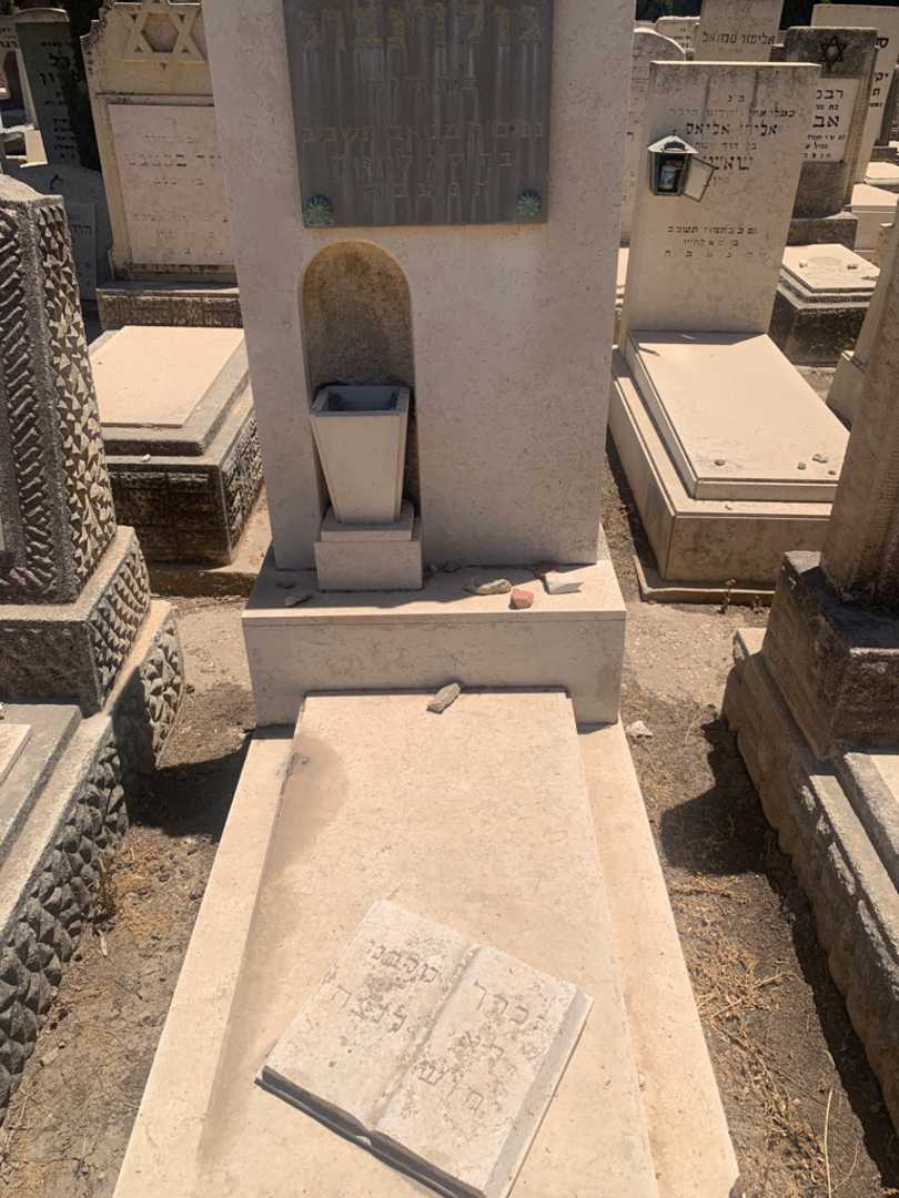 קברו של חנה גולדנברג. תמונה 1