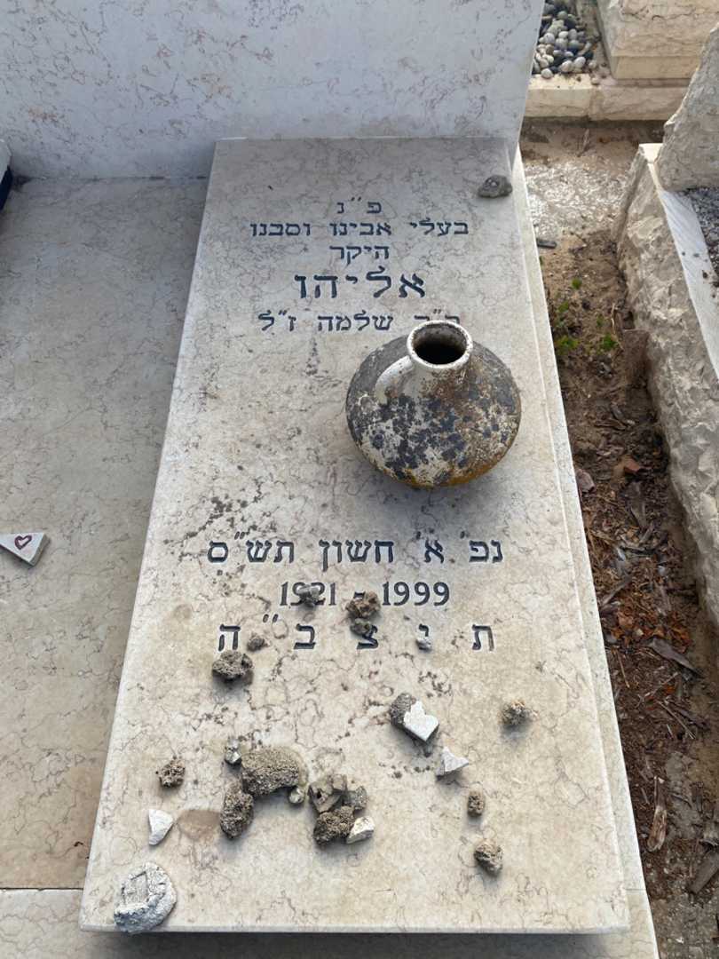 קברו של אליהו רוזנפלד. תמונה 2