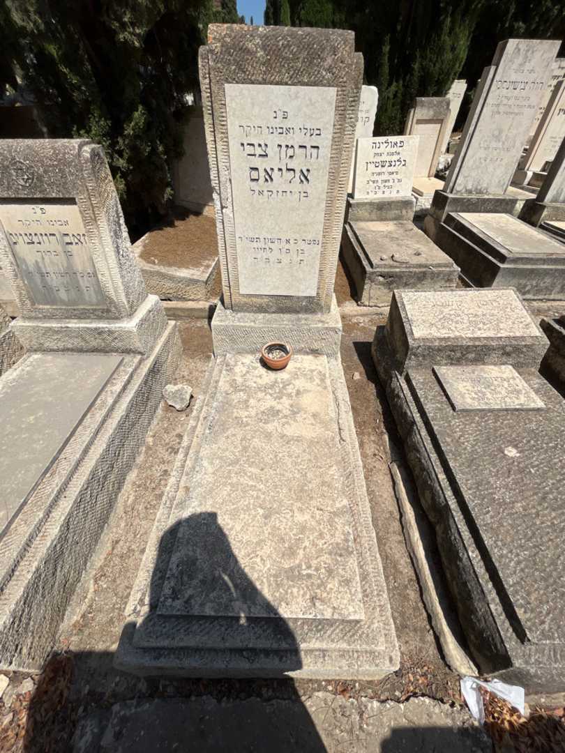 קברו של הרמן צבי אליאס