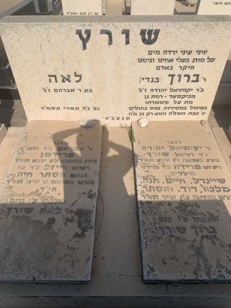קברו של חיים שורץ. תמונה 2