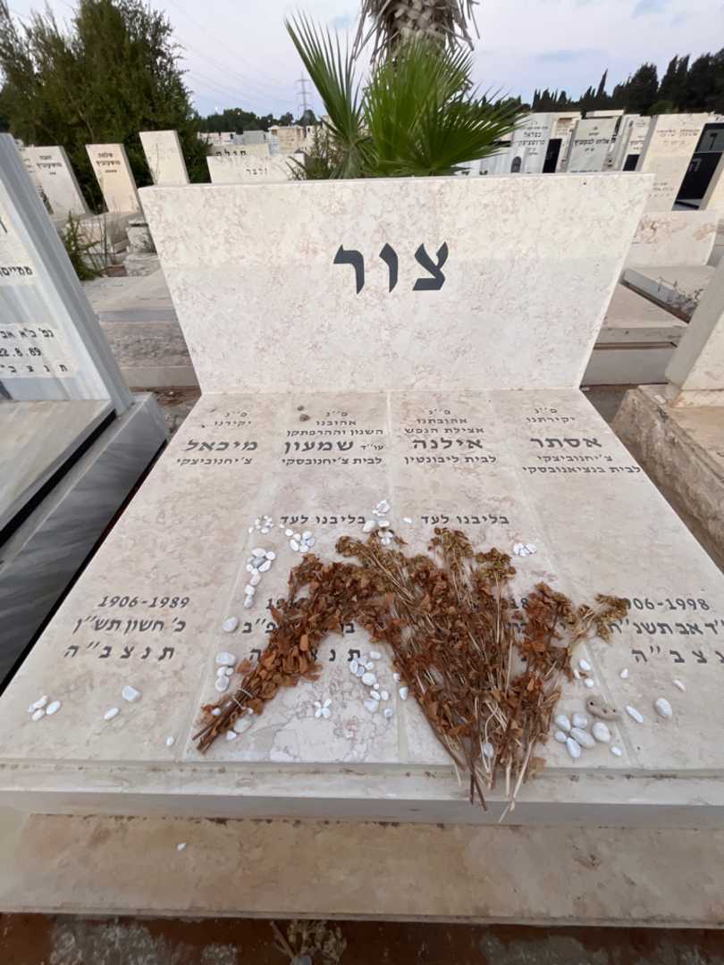 קברו של אסתר צור. תמונה 1