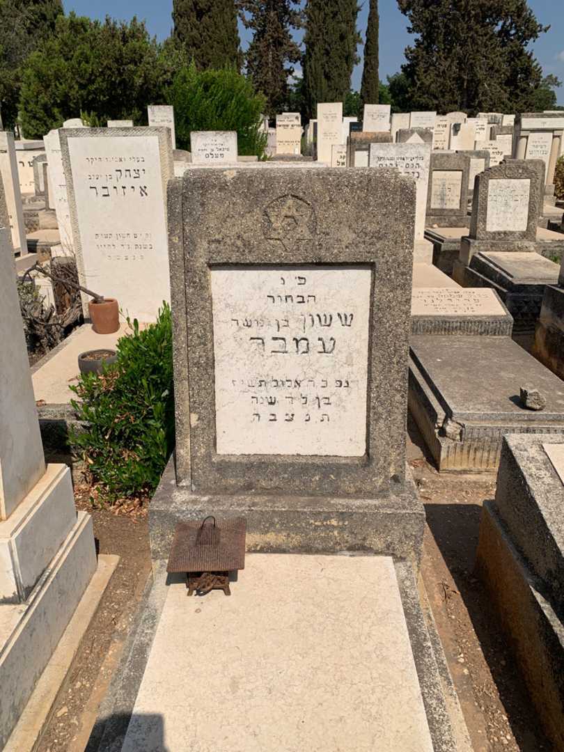 קברו של ששון עמבר