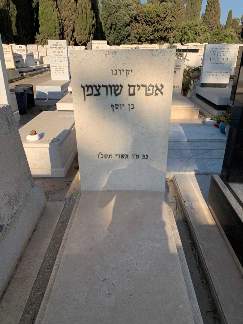 קברו של אפרים שורצמן