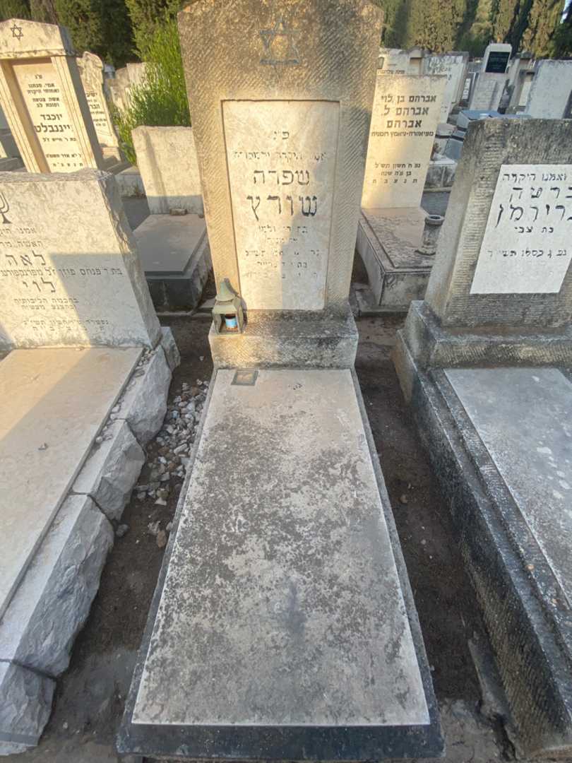 קברו של שפרה שורץ