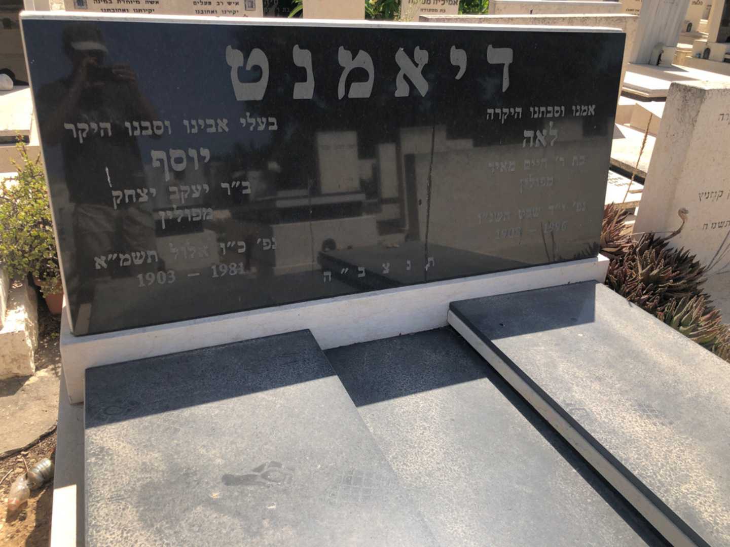 קברו של יוסף דיאמנט. תמונה 2