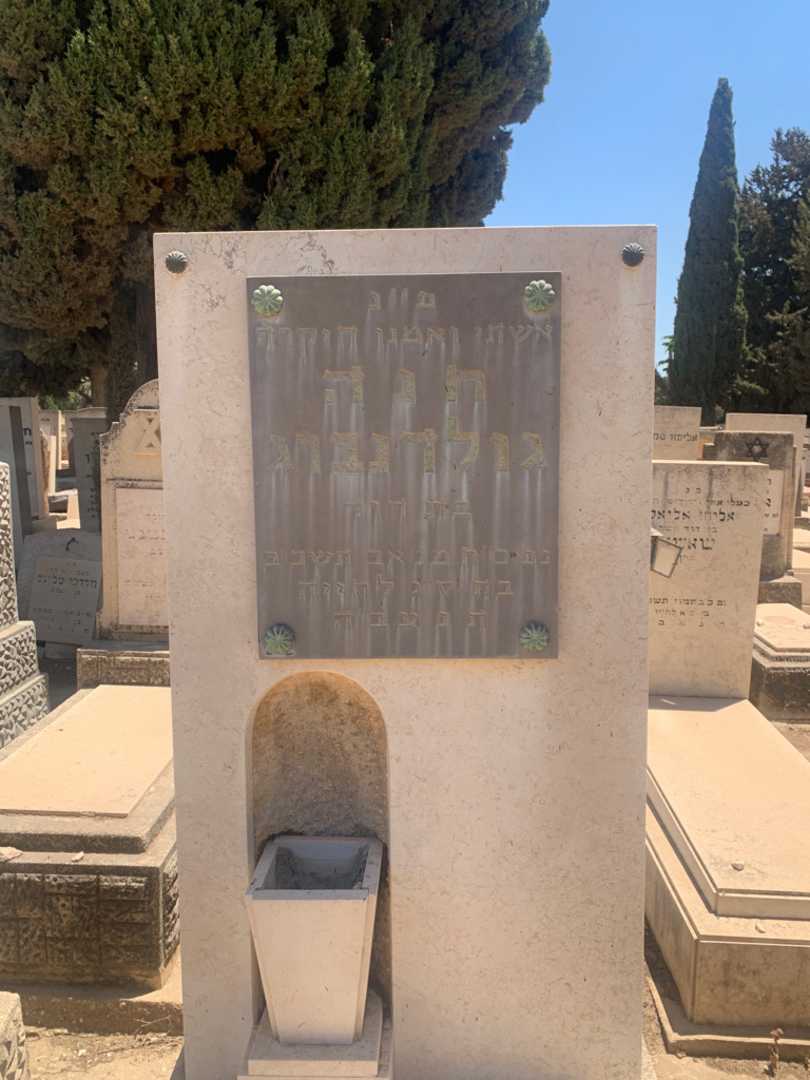 קברו של חנה גולדנברג. תמונה 3
