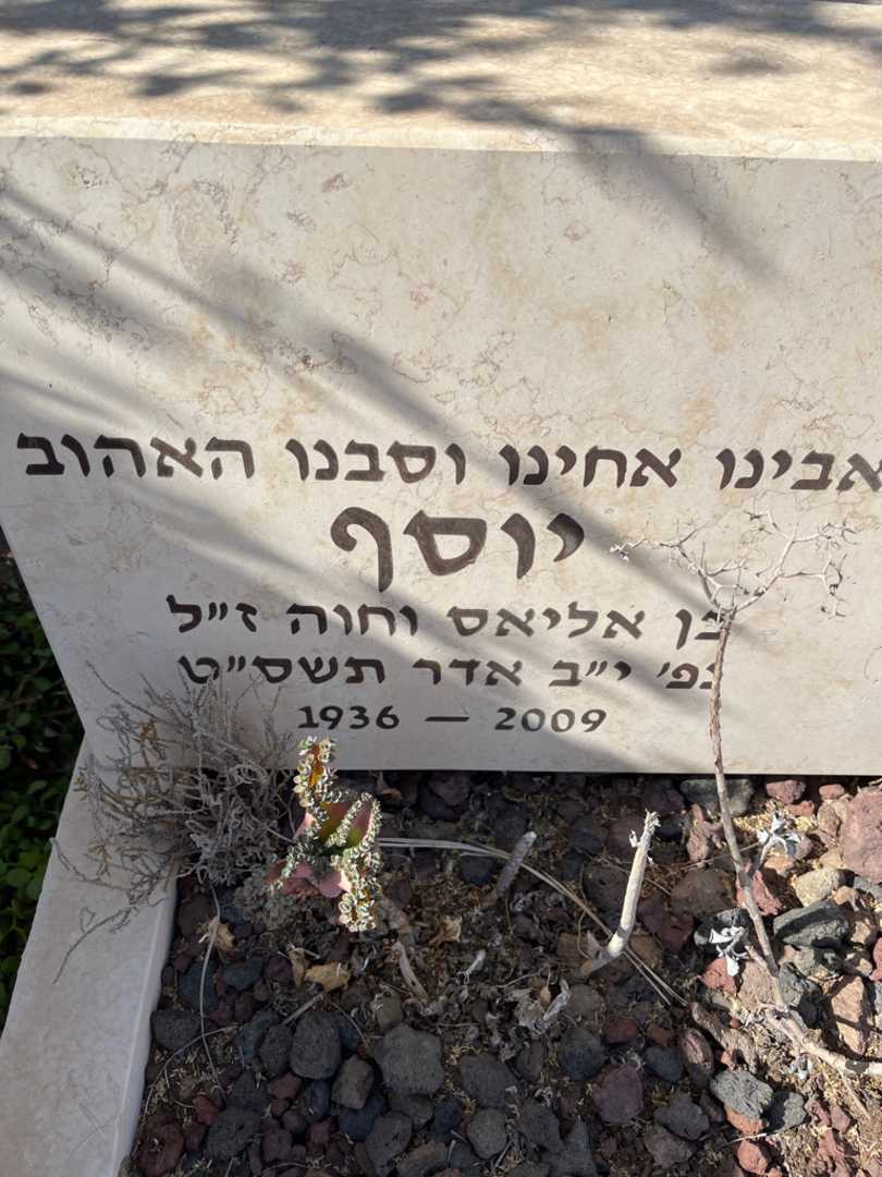 קברו של יוסף גרינברג. תמונה 3