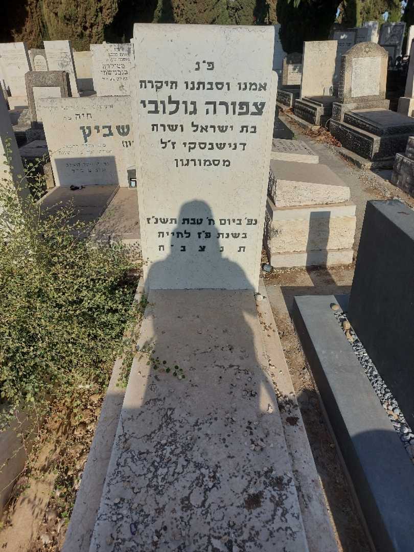 קברו של צפורה גולובי