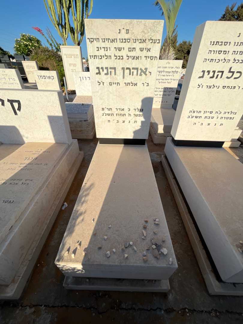 קברו של אהרן הניג. תמונה 2