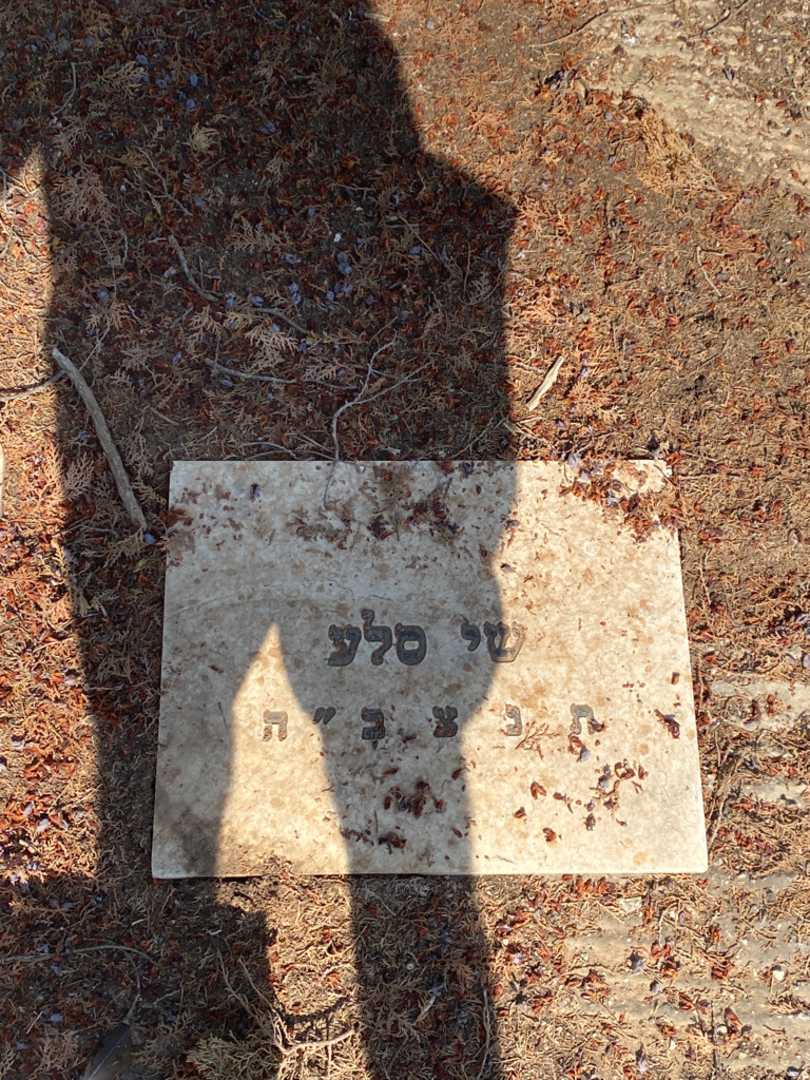 קברו של שי סלע