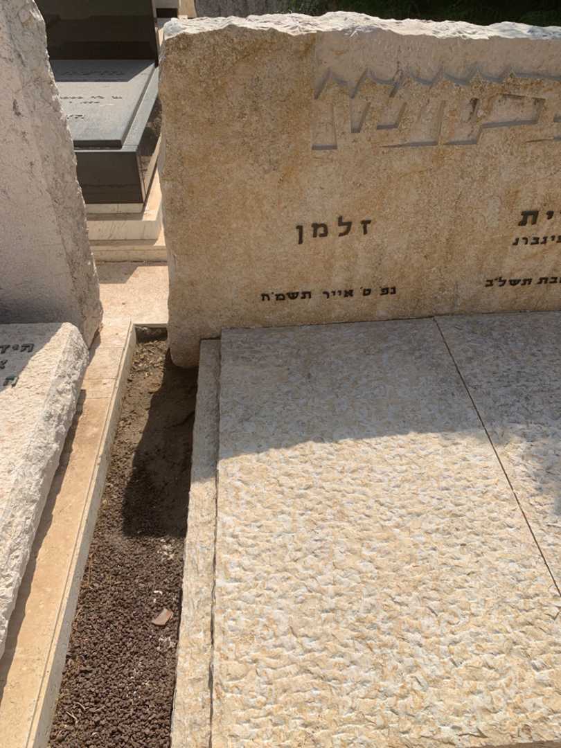 קברו של זלמן לביוש. תמונה 1