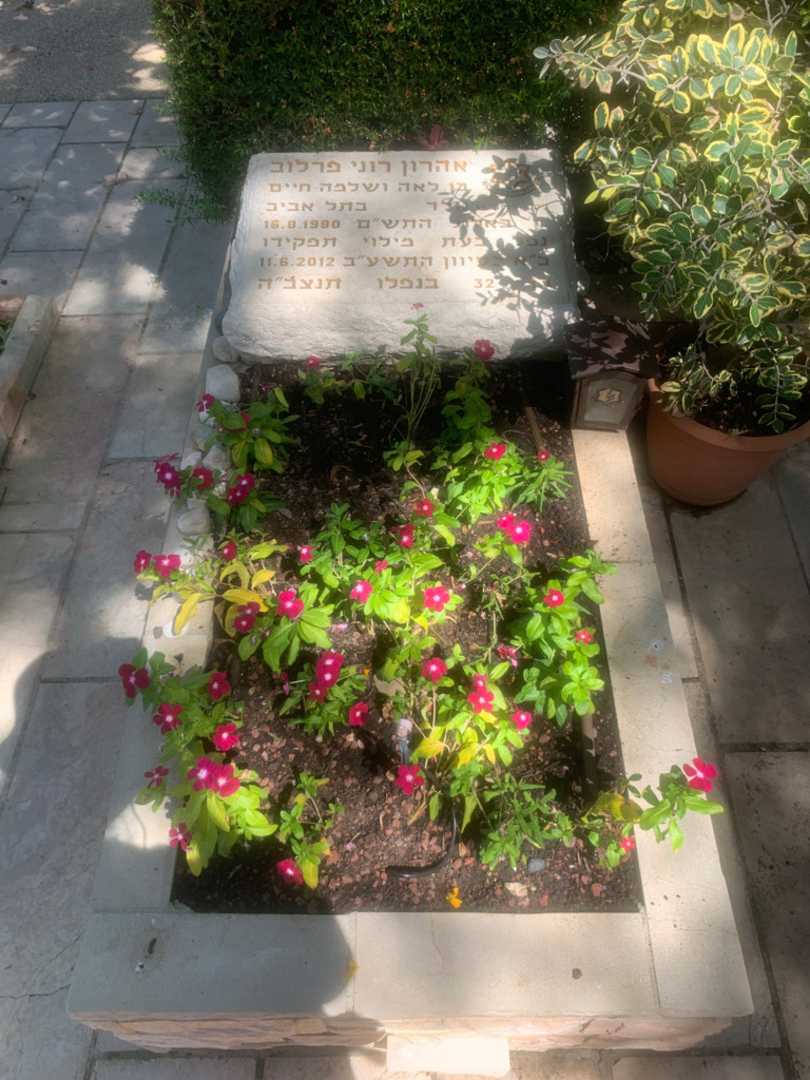 קברו של אהרון רוני פרלוב