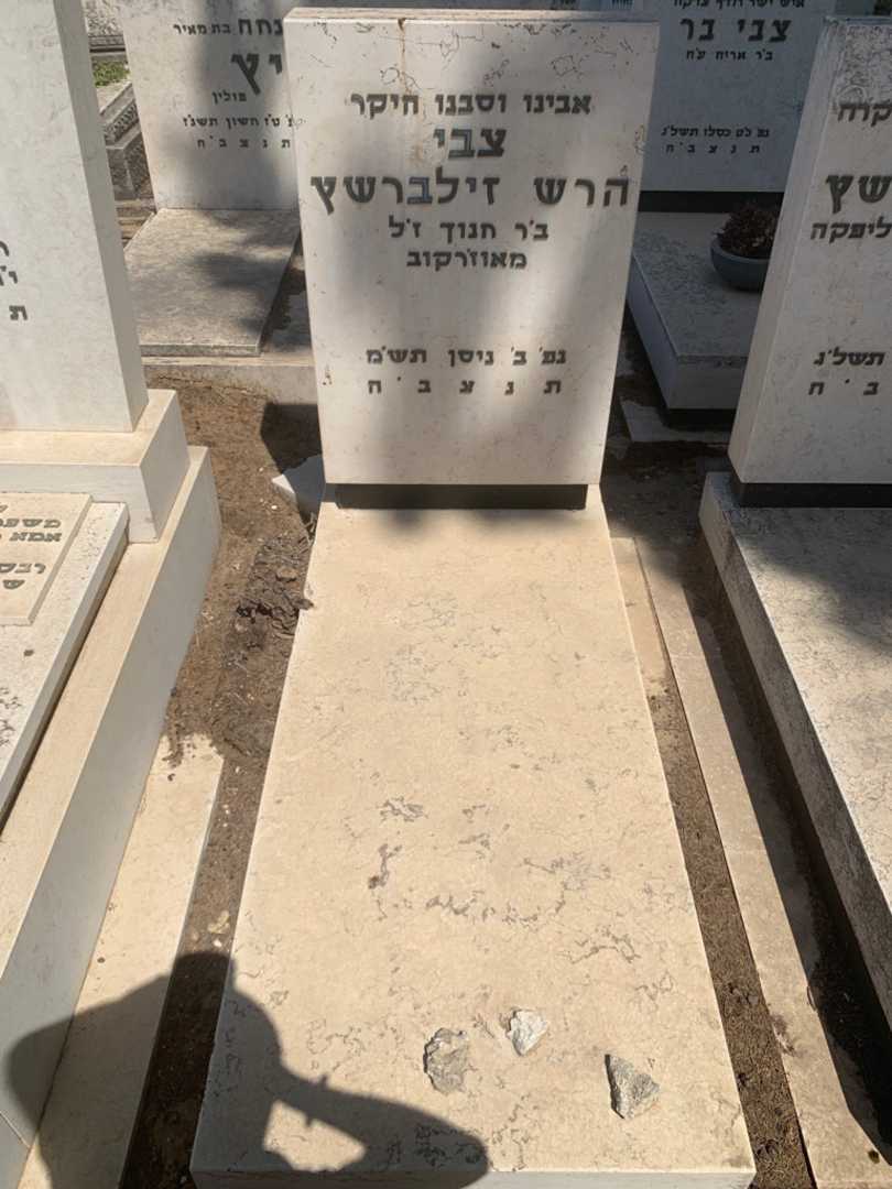 קברו של צבי הרש זילברשץ. תמונה 1