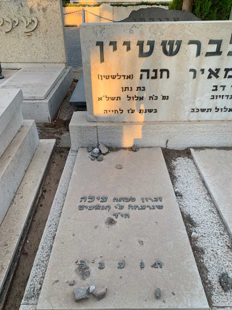 קברו של חנה זילברשטיין אדלשטין. תמונה 2