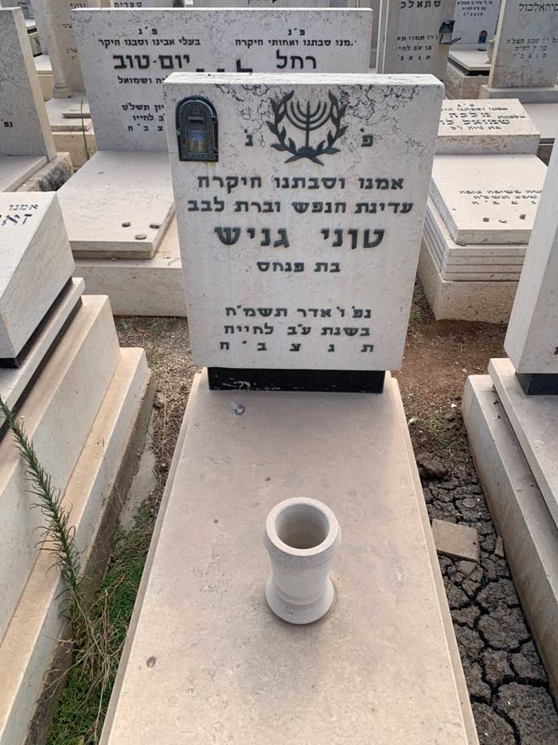 קברו של טוני גניש