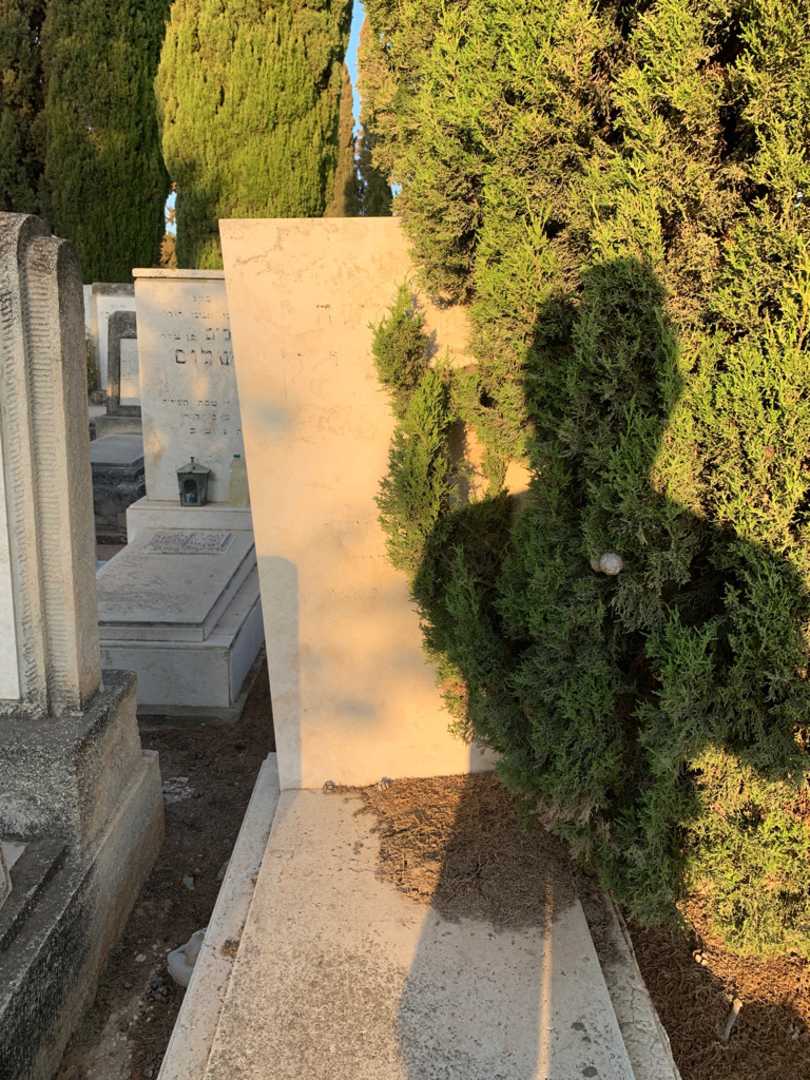 קברו של משה סרבניק. תמונה 1