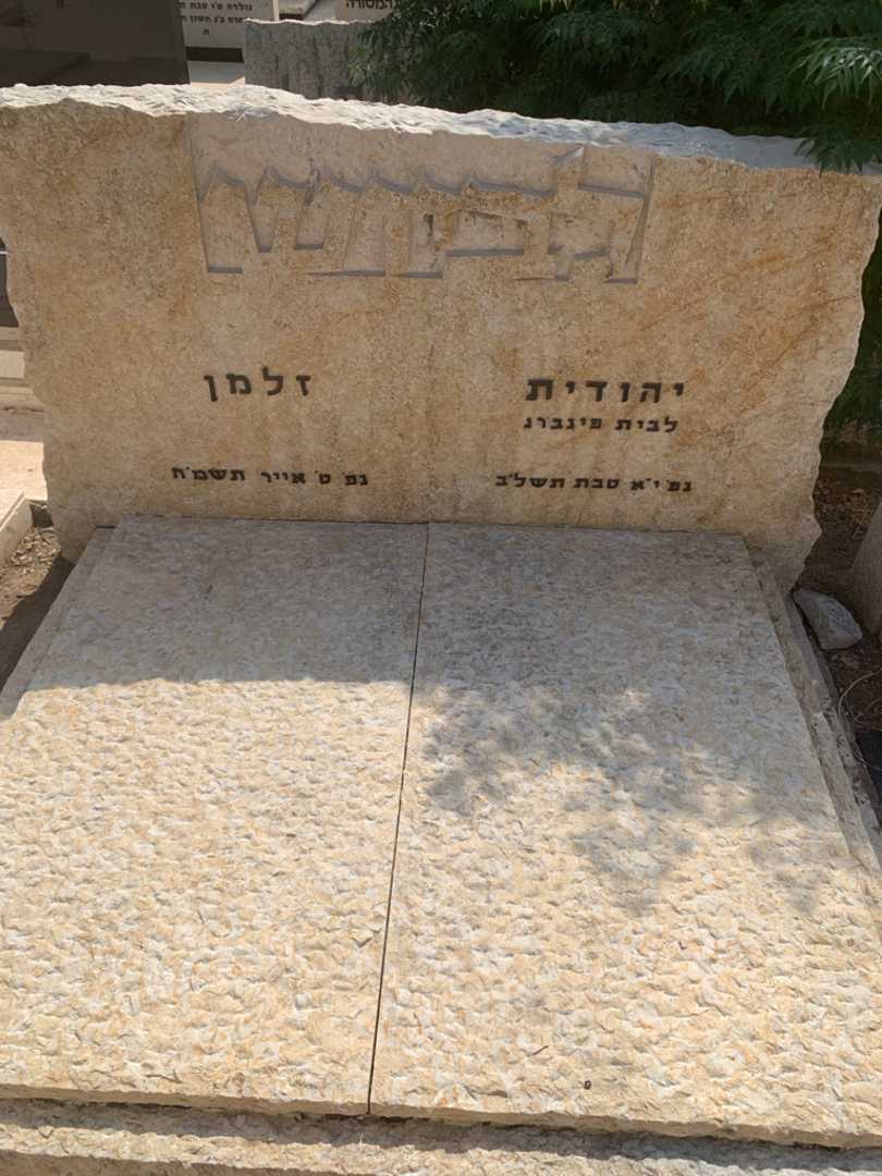 קברו של זלמן לביוש. תמונה 2