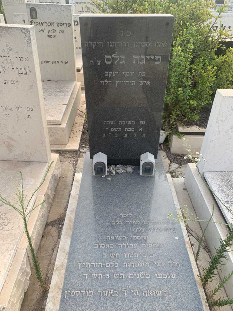 קברו של חיים מאיר גלס