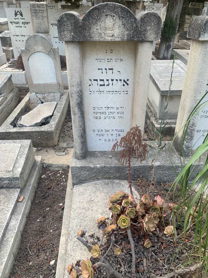 קברו של דוד אייזנברג. תמונה 1