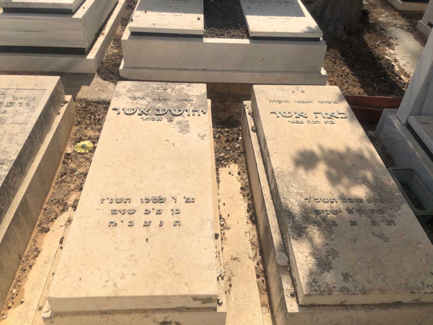 קברו של לאה אשר. תמונה 1