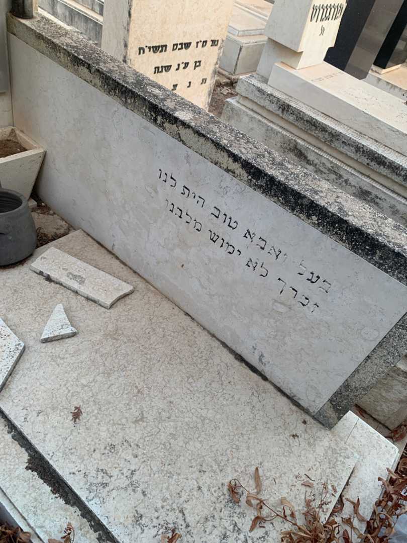 קברו של משה ינקו. תמונה 2