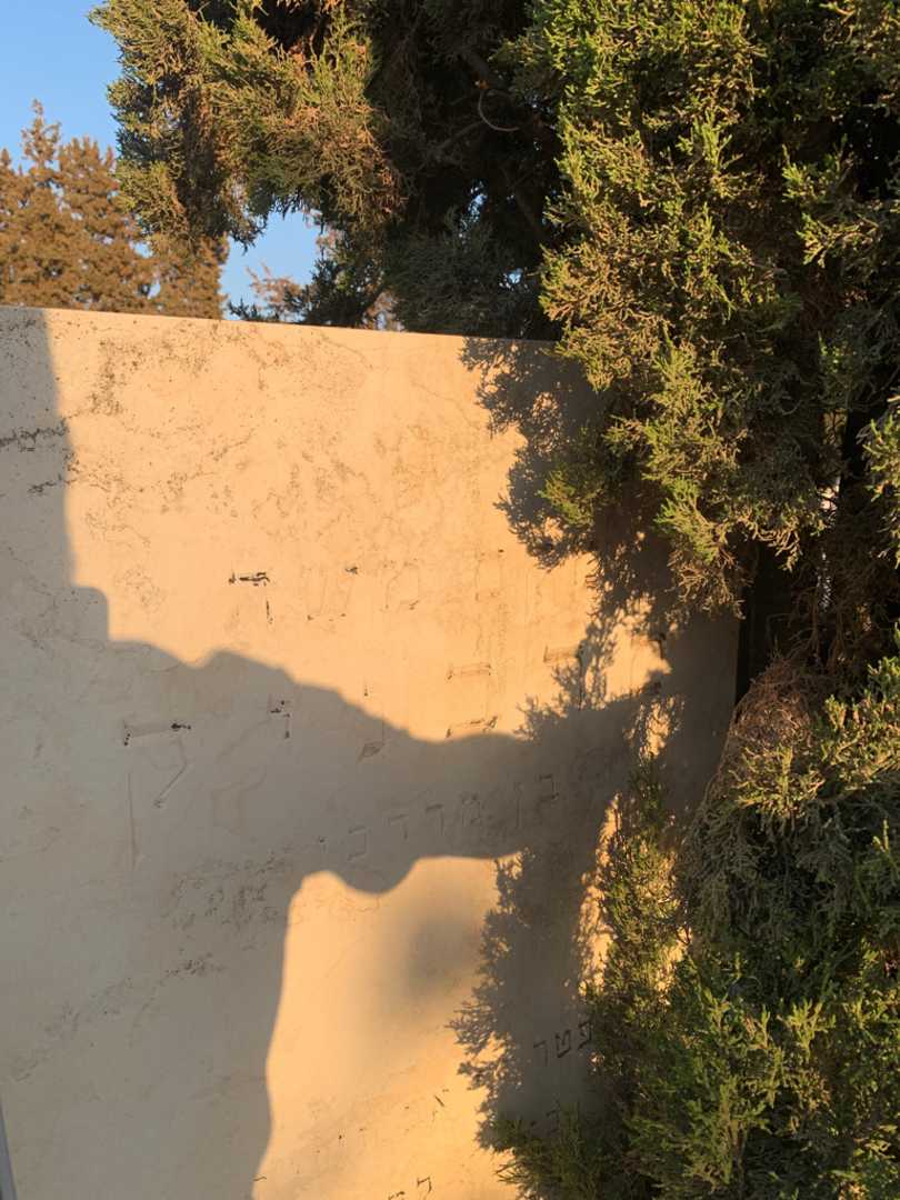 קברו של משה סרבניק. תמונה 2