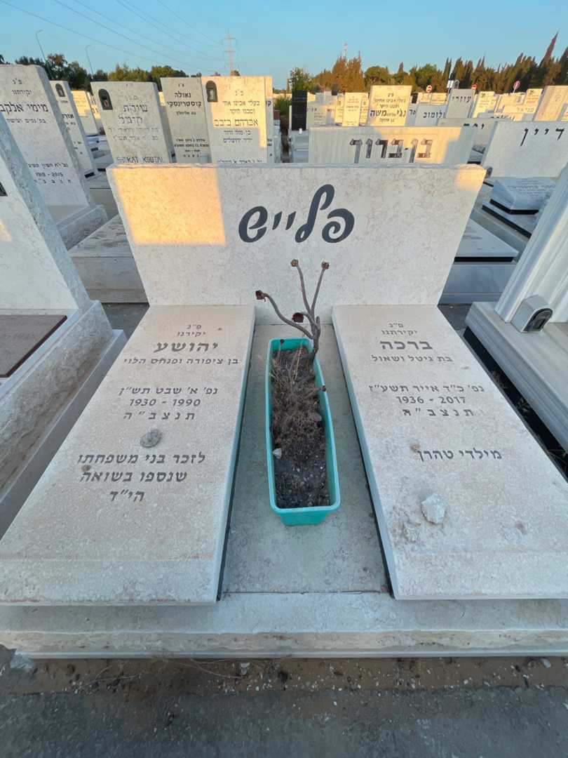 קברו של ברכה פלייש. תמונה 1