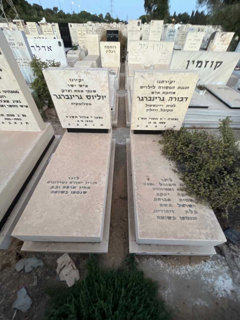 קברו של דבורה רגינברגר. תמונה 1