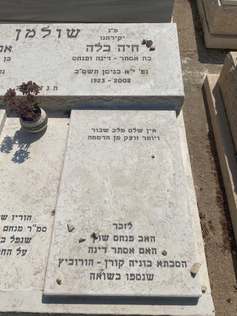 קברו של חיה בלה שולמן. תמונה 1