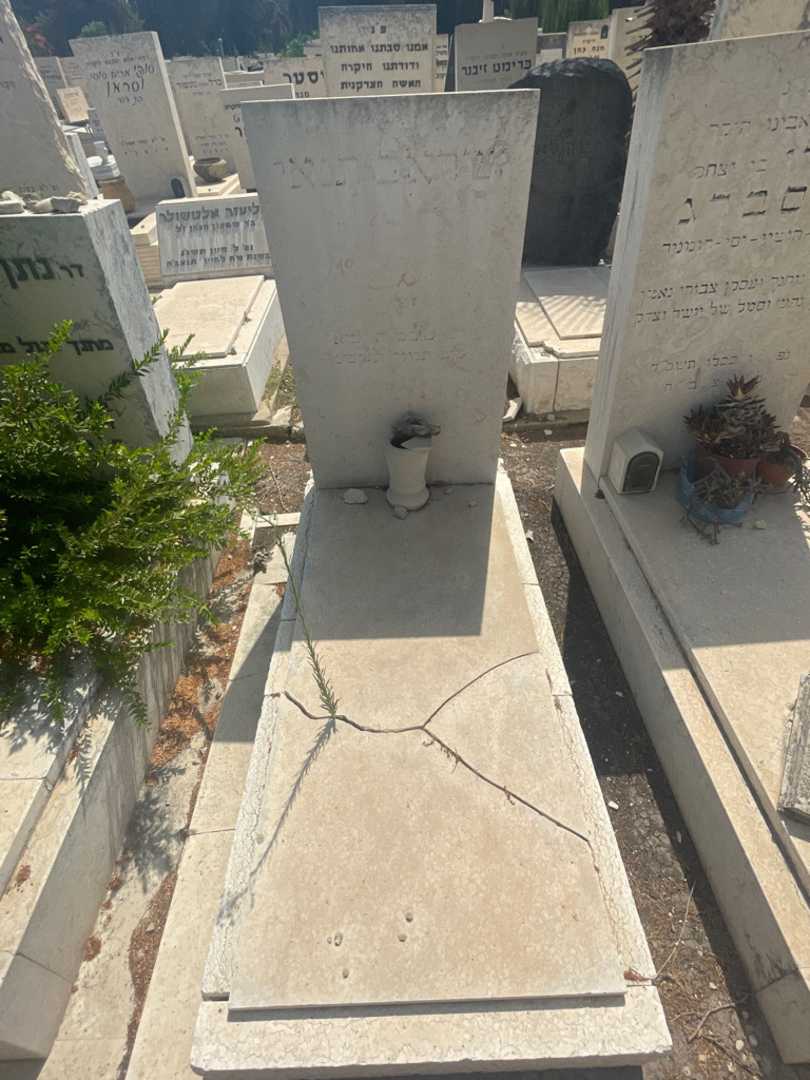 קברו של ישראל תנאי