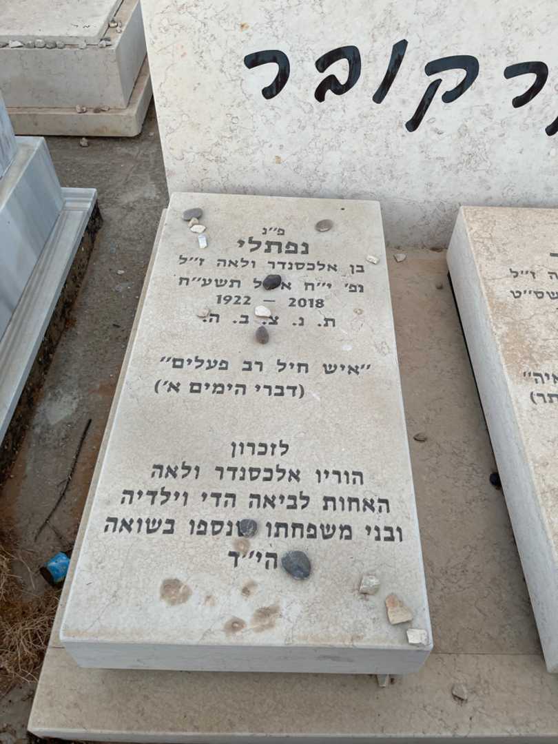 קברו של נפתלי קרקובר. תמונה 2