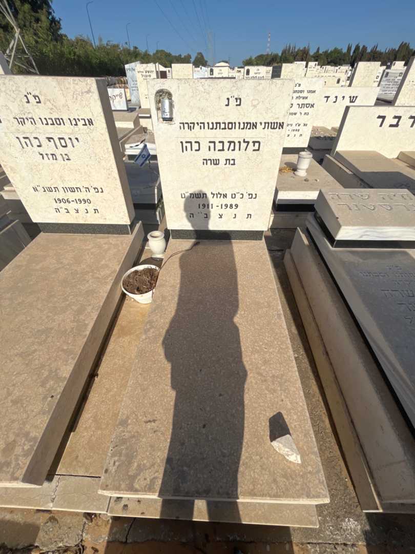 קברו של פלומבה כהן. תמונה 1