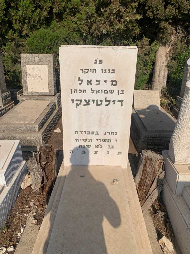 קברו של מיכאל דילטיצקי