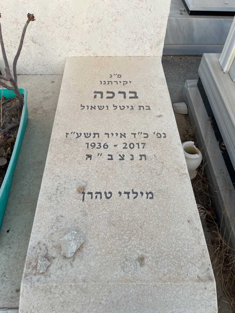 קברו של ברכה פלייש. תמונה 2