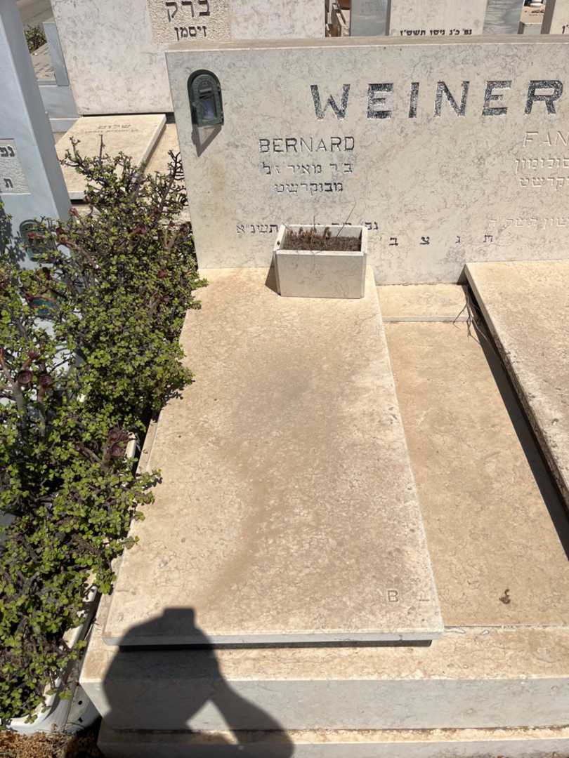 קברו של Bernard Weiner. תמונה 1
