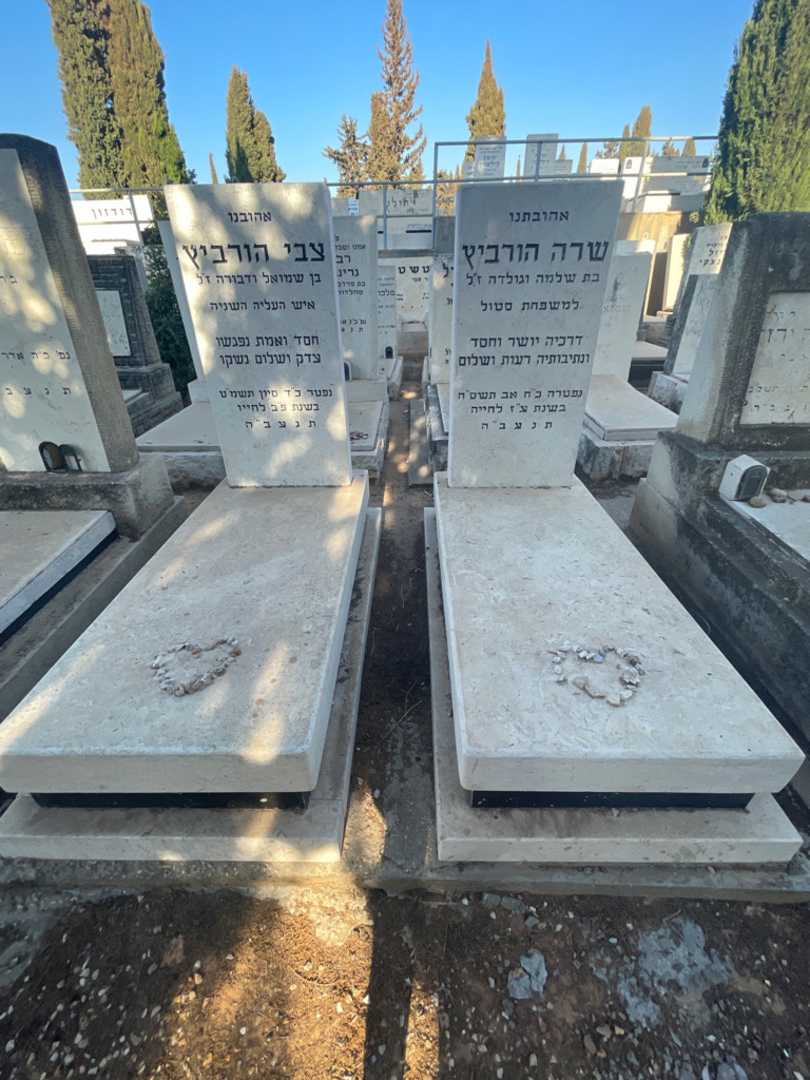 קברו של שרה הורביץ. תמונה 1