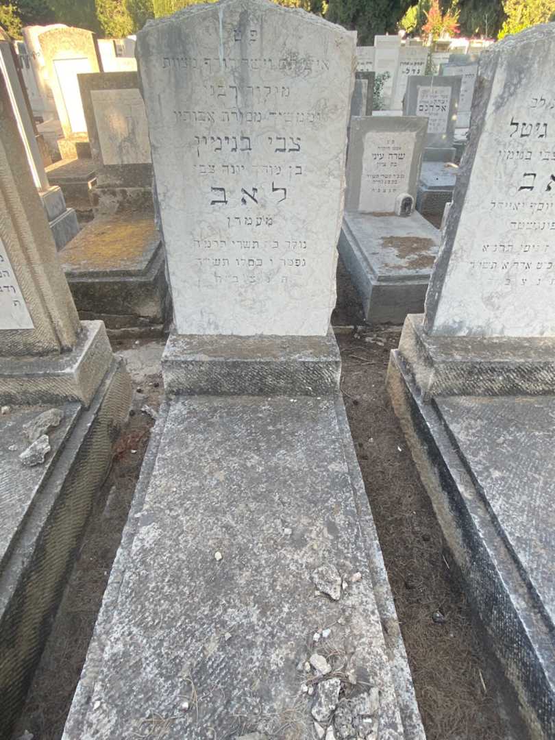 קברו של צבי בנימין לאב. תמונה 1