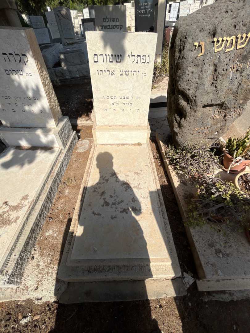 קברו של נפתלי שטורם. תמונה 1