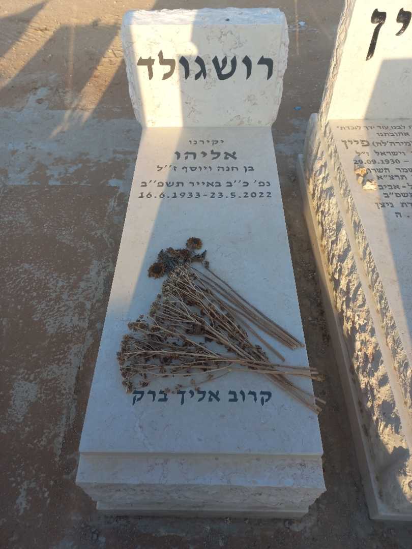 קברו של אליהו רושגולד