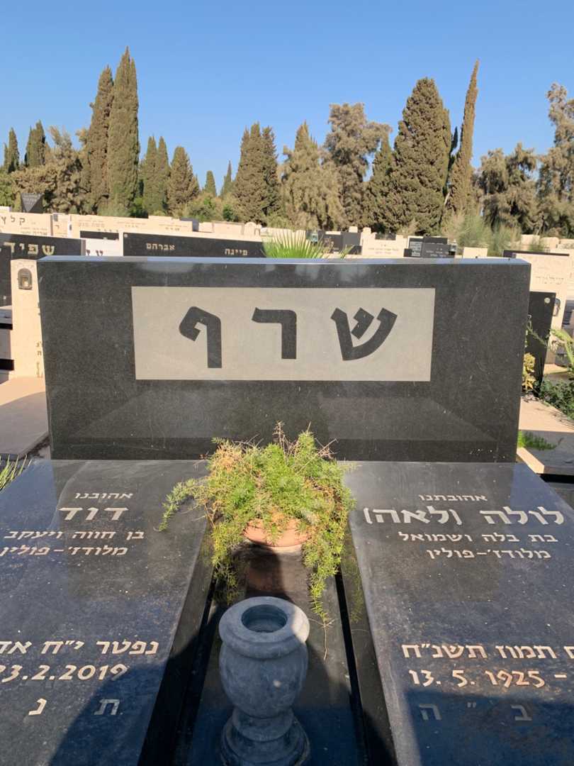 קברו של דוד שרף. תמונה 1