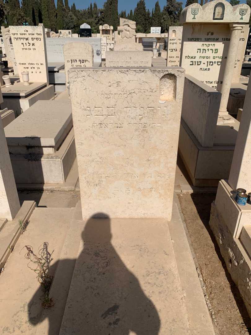 קברו של גורג'יה סבג. תמונה 2