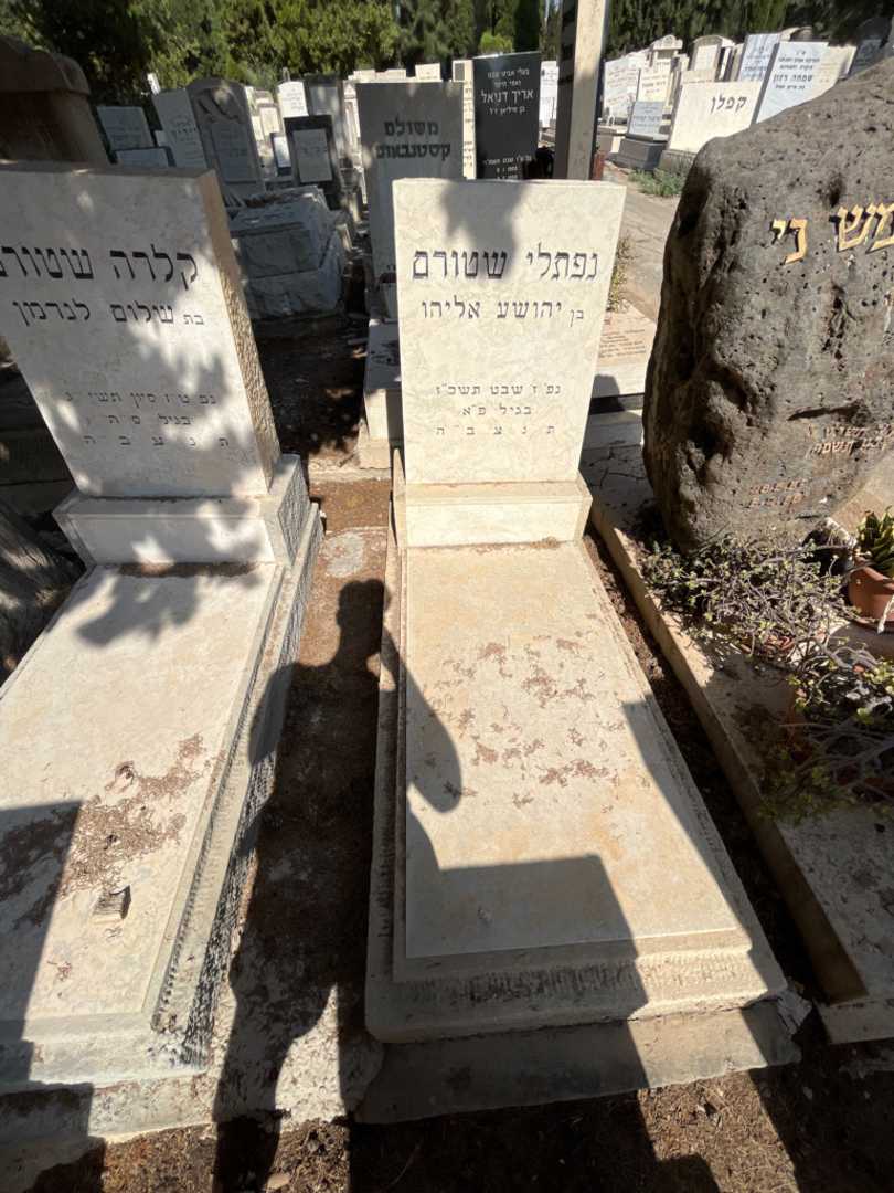 קברו של נפתלי שטורם. תמונה 2