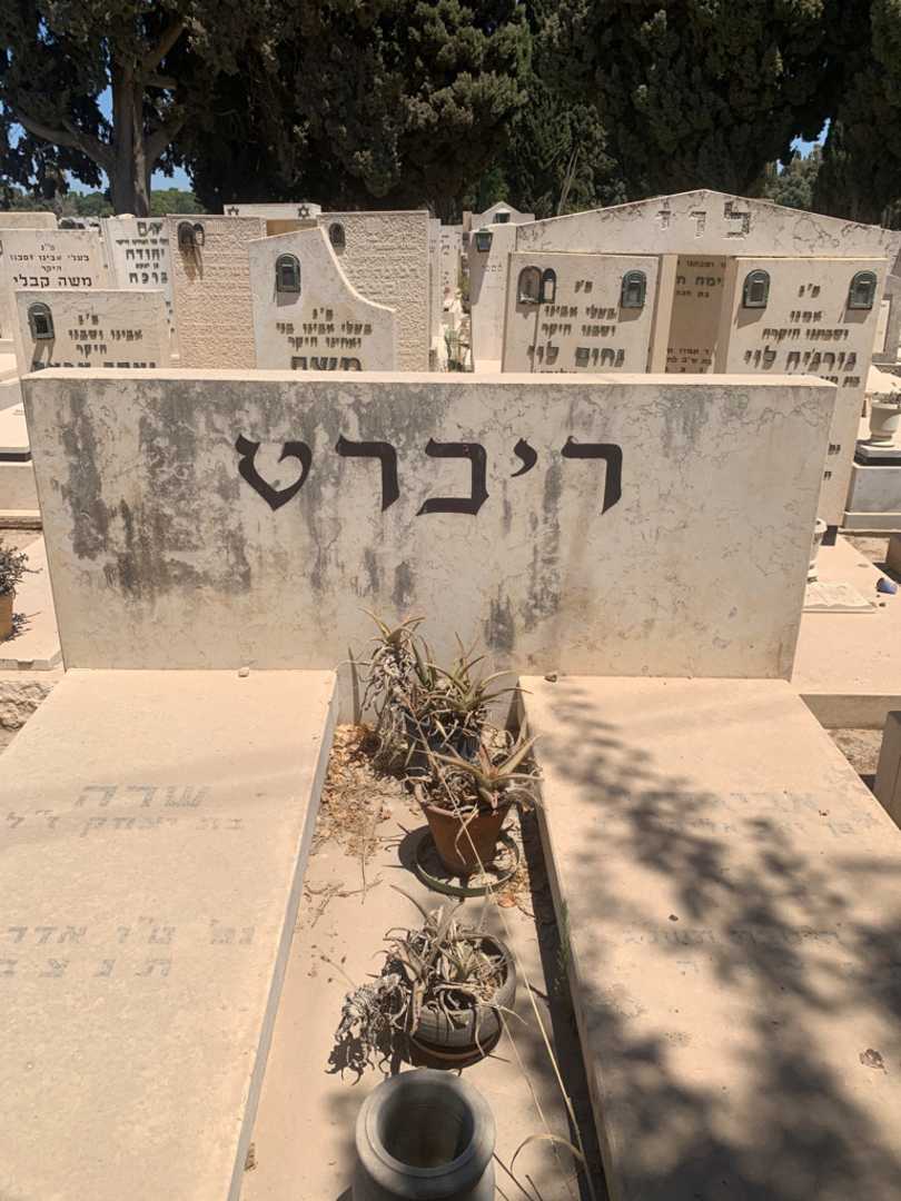 קברו של אביגדור ריברט. תמונה 1