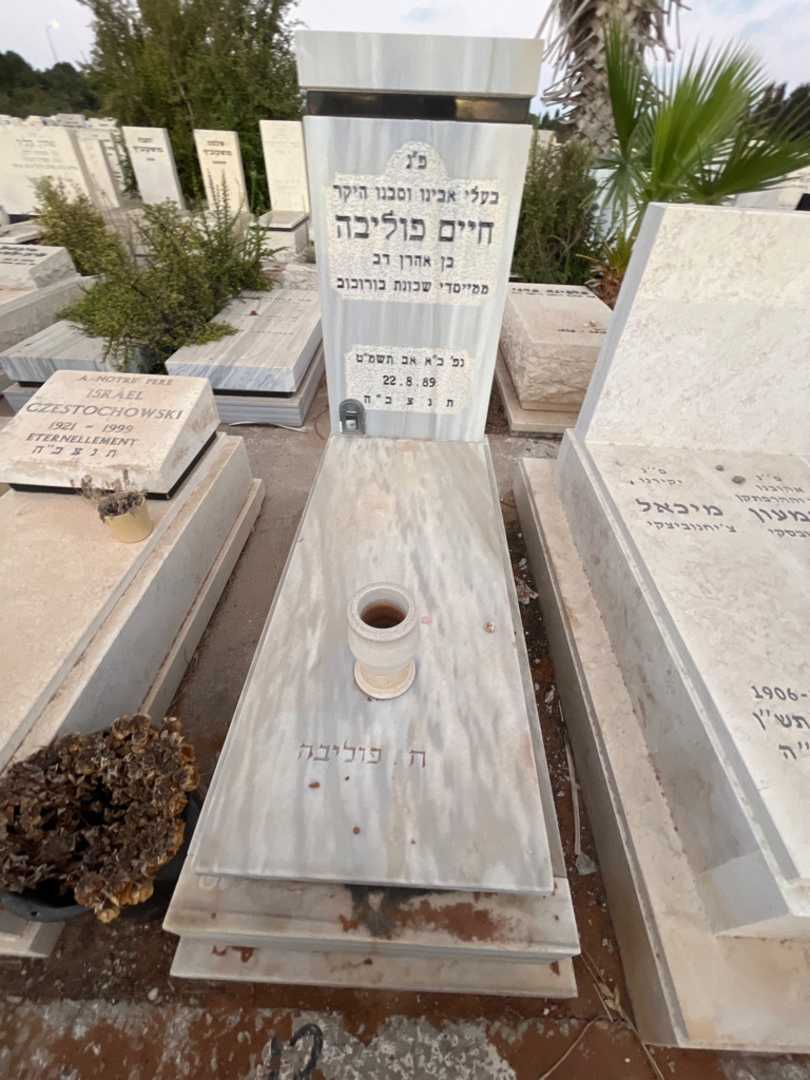 קברו של חיים פוליבה
