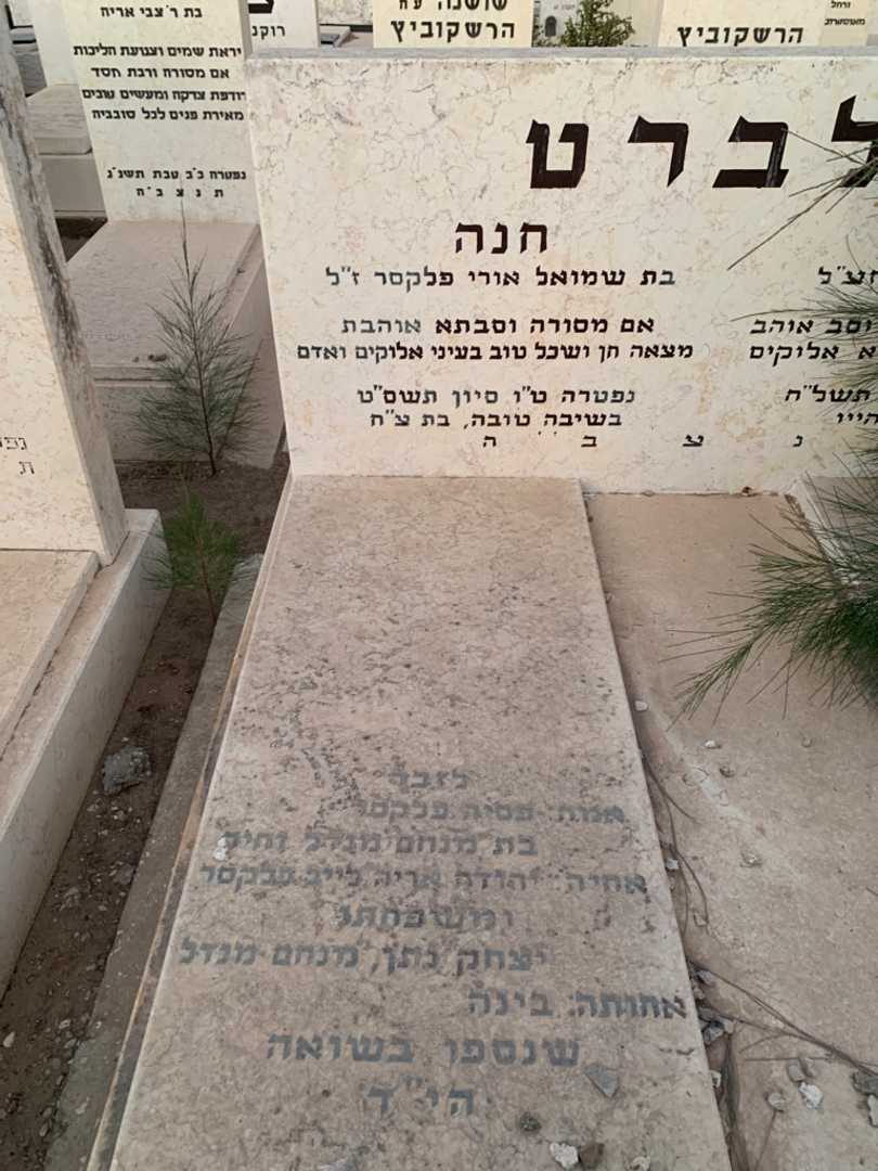 קברו של חנה אלברט. תמונה 2