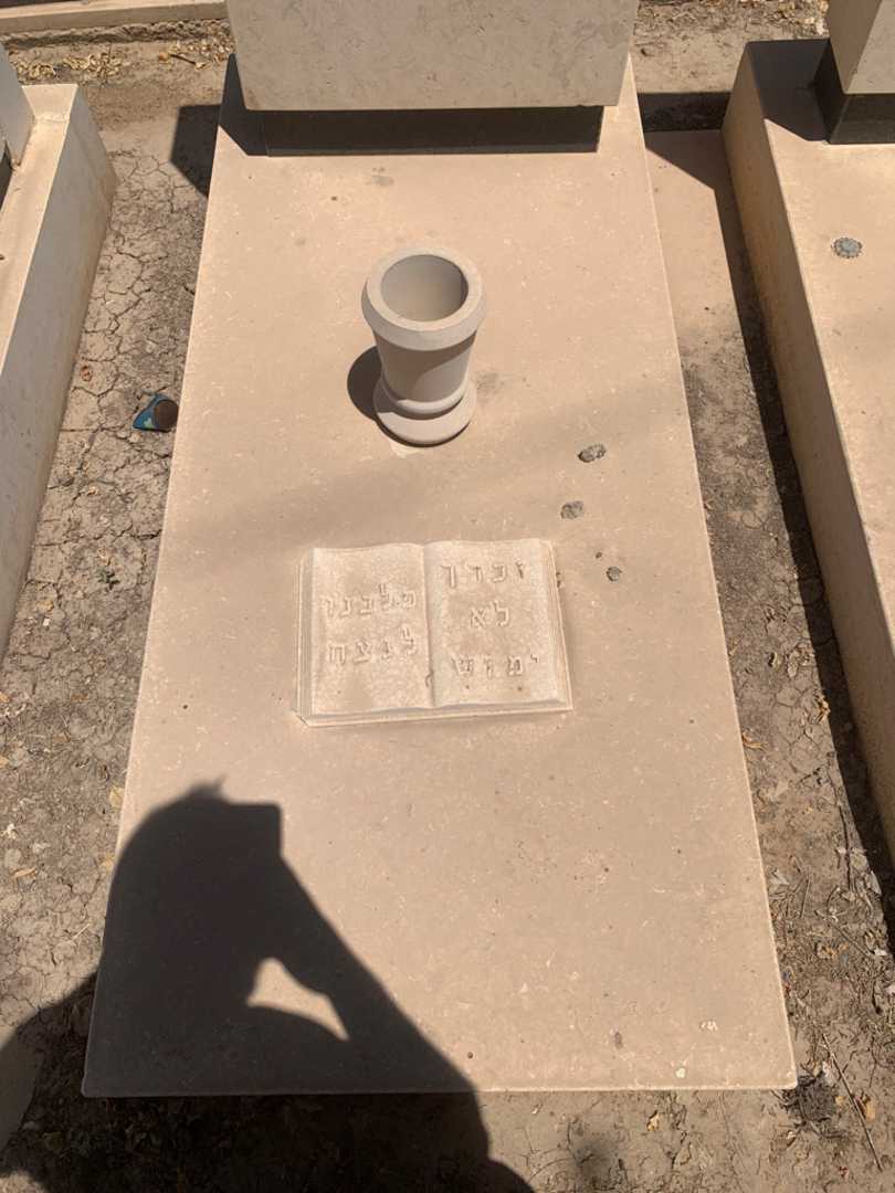 קברו של נחום לוי. תמונה 3
