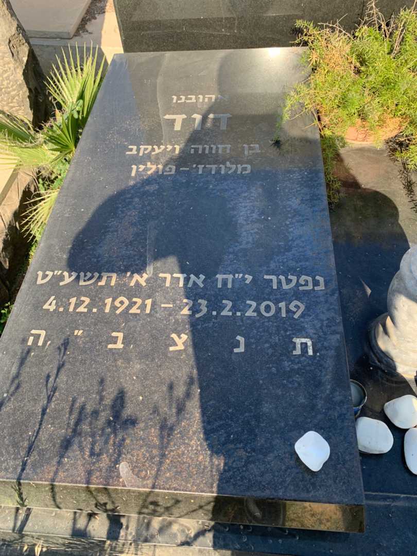 קברו של דוד שרף. תמונה 2