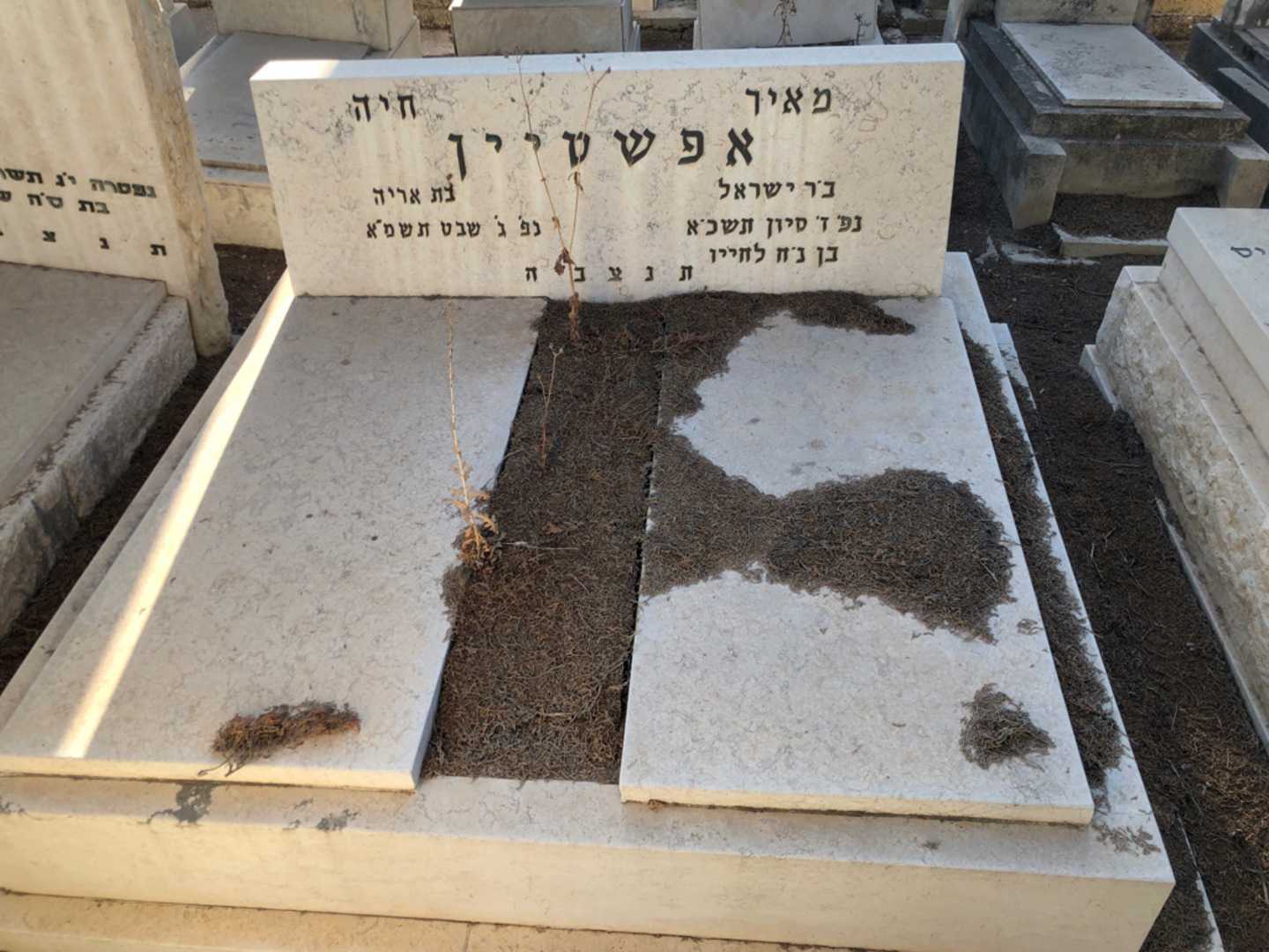קברו של מאיר אפשטיין. תמונה 2